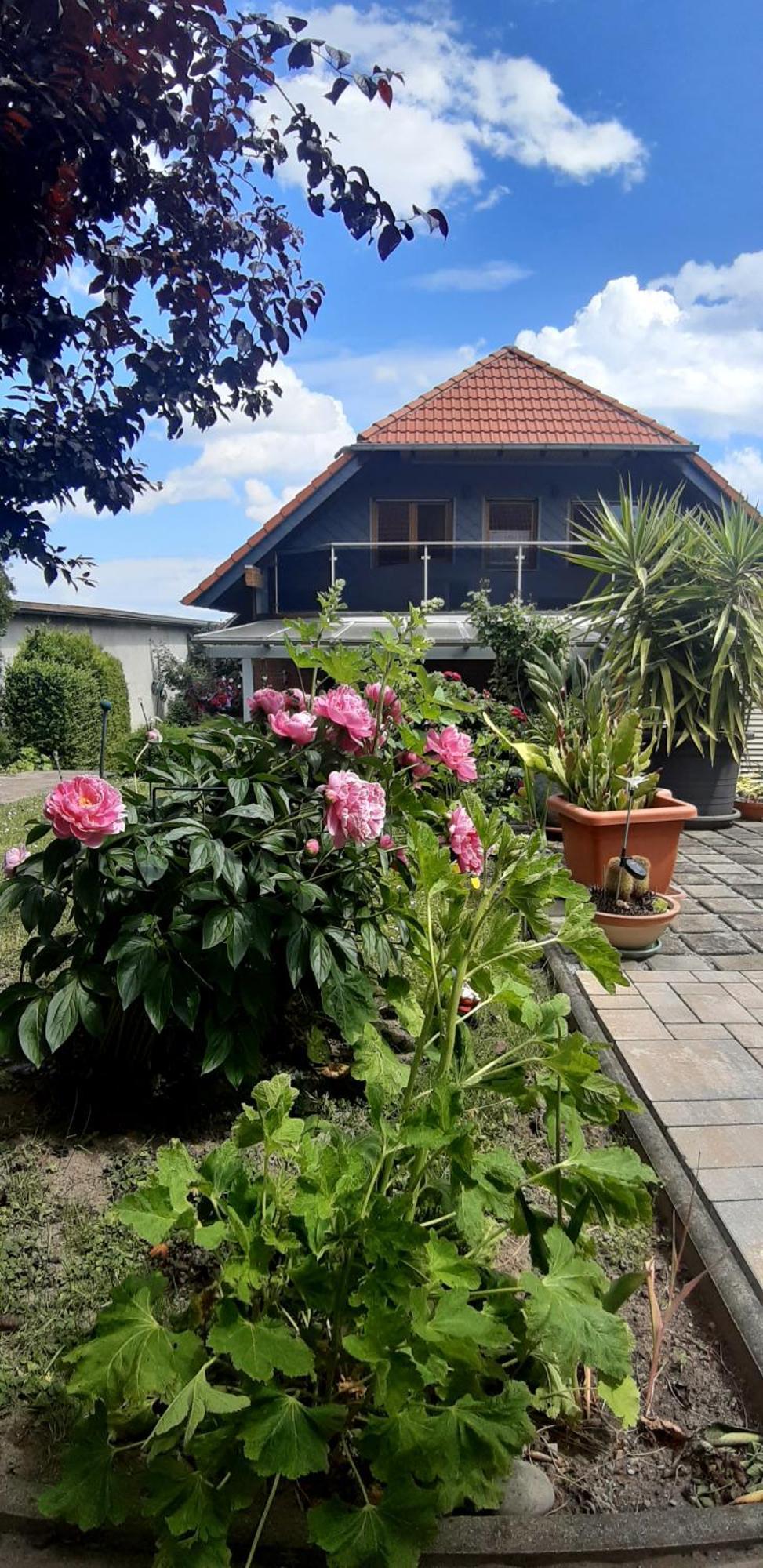 Ferienwohnung Relax Ilsenburg Exterior photo